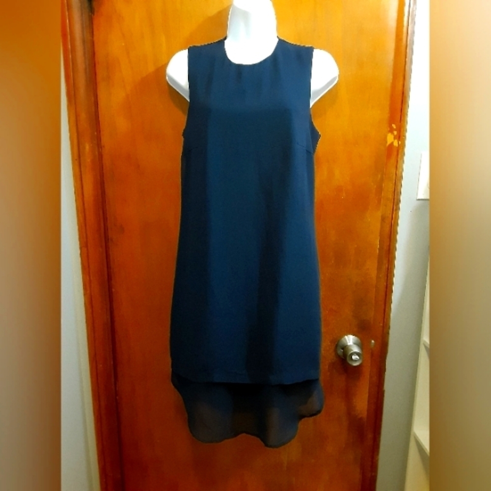 Sharagano Women's Dress